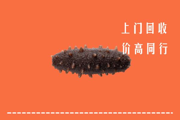 高价求购：连云港回收海参