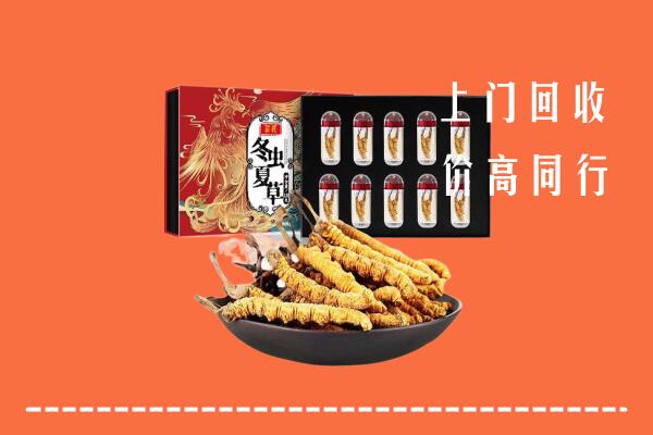 收购行情：连云港回收虫草